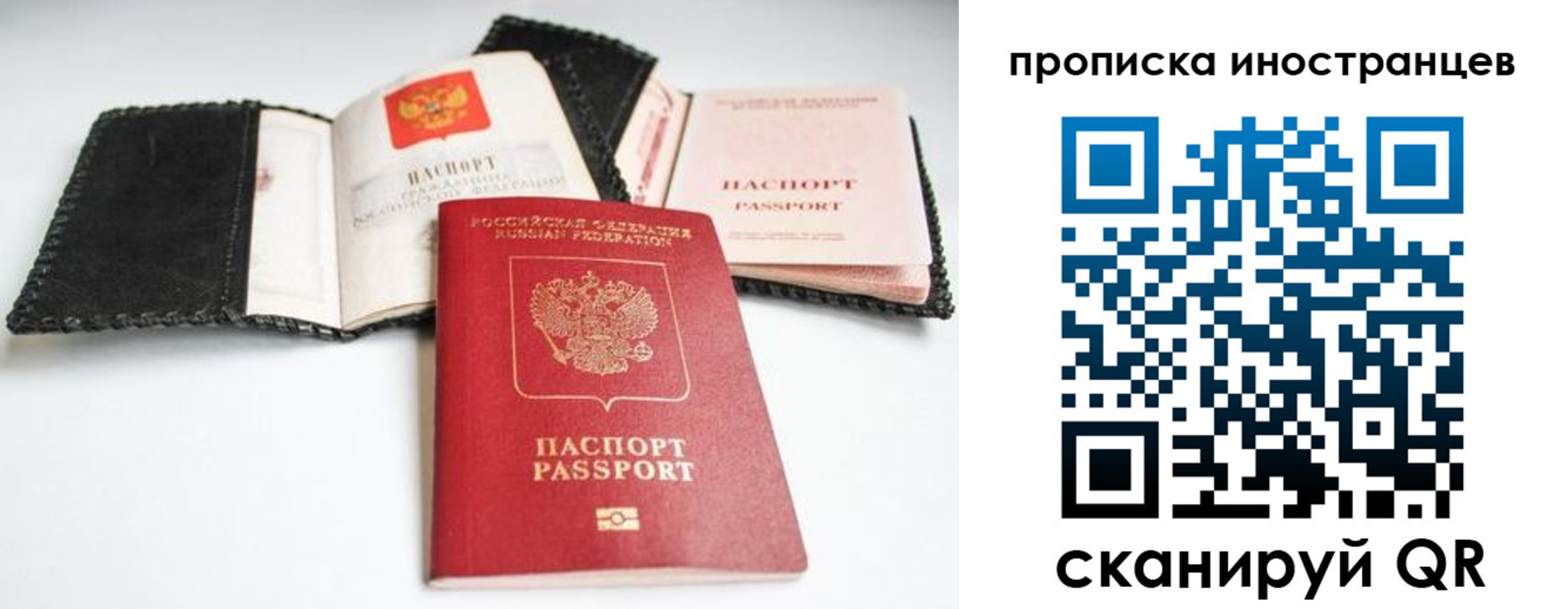 прописка паспорт в Оленегорске